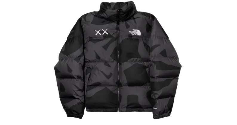 Kaws×THE NORTH FACE ヌプレジャケット